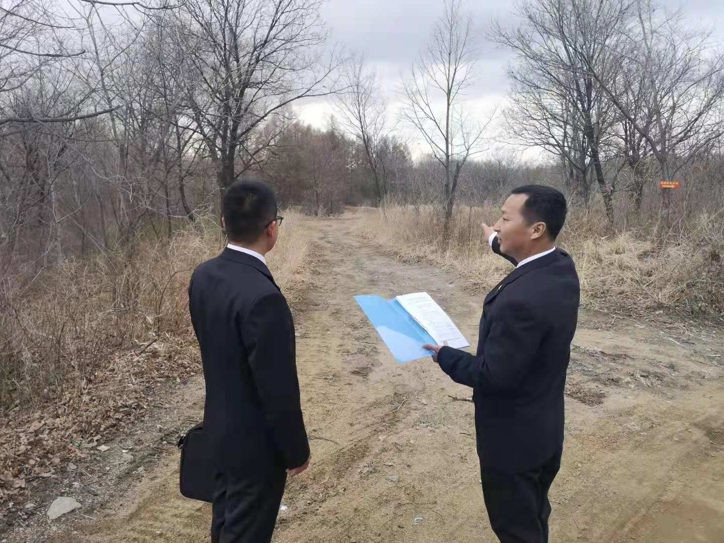 365购物平台_神器365软件下载_365365bet官查看清理后的地块